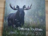 Daug Lietuvos, gyvūnų fotografija, senos miestų - nuotraukos Nr. 2