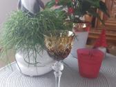 Antikvarinės taurelės l.gero stovio - nuotraukos Nr. 5