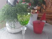 Antikvarinės taurelės l.gero stovio - nuotraukos Nr. 7