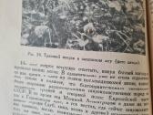 Весна и осень в жизни растений 1950 - nuotraukos Nr. 9