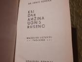 Kai dar amžina ugnis ruseno - nuotraukos Nr. 2