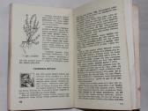 Bitininko mėgėjo žinynas 1977-1978 m. - nuotraukos Nr. 4