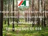 Brangiai superkame miškus su žeme ir medieną