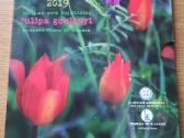 Graikija 2019 m. Spalvota!