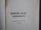 Knyga "Senosios pilies vaiduokliai"