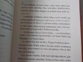 Knyga romanas Brida - nuotraukos Nr. 3