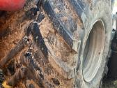 Padangos kombainams 1050/55 R, 800/65 r32 ir kitos - nuotraukos Nr. 4