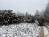 Apleistų sklypų tvarkymas,brangiai perkame biokurą - nuotraukos Nr. 6