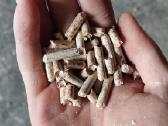 Medzio granules - nuotraukos Nr. 4