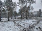 Apleistų sklypų tvarkymas.sodo sklypų valymas - nuotraukos Nr. 8