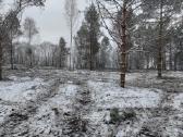 Apleistų sklypų tvarkymas.sodo sklypų valymas - nuotraukos Nr. 9