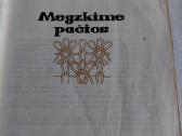 Megzkime pačios - nuotraukos Nr. 2