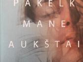 Įvairi grožinė literatūra suaugusiems - nuotraukos Nr. 17