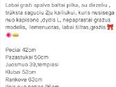 Žieminė striuke paltas - nuotraukos Nr. 2