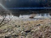Sklypų valymas,šakų smulkinimas,žolės pjovimas. - nuotraukos Nr. 18