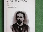 Hugo,tolstojus,dostojevskis,turgenevas,gorkis - nuotraukos Nr. 12