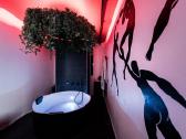 Buto su Jacuzzi nuoma Kauno centre