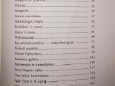 Garsiausios pasaulio pasakos - nuotraukos Nr. 2