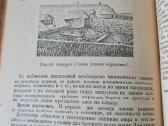 Кормление сельскохозяйственных животных 1946 - nuotraukos Nr. 10