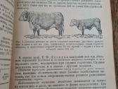 Кормление сельскохозяйственных животных 1946 - nuotraukos Nr. 13