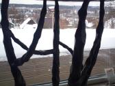 Baro kede - nuotraukos Nr. 5