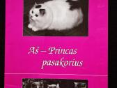 Aš – Princas pasakorius