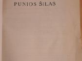 266. Punios Šilas - nuotraukos Nr. 2