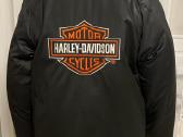 Harley-davidson striuke paaugliui - nuotraukos Nr. 2