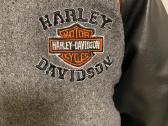 Harley-davidson striuke paaugliui - nuotraukos Nr. 4
