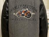 Harley-davidson striuke paaugliui - nuotraukos Nr. 5