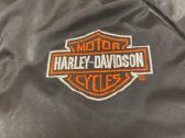 Harley-davidson striuke paaugliui - nuotraukos Nr. 6