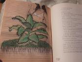 Paleistuvės, arba meilė pagal Niurnbergo mergelę - nuotraukos Nr. 11