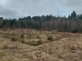 Parduodamas žemės sklypas, Kretingos rajonas