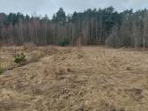 Parduodamas žemės sklypas, Kretingos rajonas - nuotraukos Nr. 3