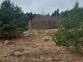 Parduodamas žemės sklypas, Kretingos rajonas - nuotraukos Nr. 5