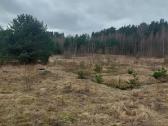 Parduodamas žemės sklypas, Kretingos rajonas - nuotraukos Nr. 6