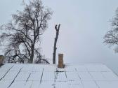Medžių pjovimas-genėjimas-gyvatvorių karpymas - nuotraukos Nr. 10