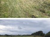 Medžių pjovimas-genėjimas-gyvatvorių karpymas - nuotraukos Nr. 30