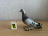 Gal kam i kolekcija