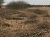 Medžių pjovimas,genėjimas,apleistų sklypų, šakų - nuotraukos Nr. 5