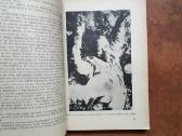 Reta knyga su dedikacija žymiam asmeniui - nuotraukos Nr. 7