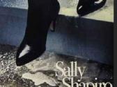 Sally Shapiro 2lp (2vinilai)