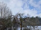 Kaminų,krosnių,latakų valymas,kaminų įdėklai - nuotraukos Nr. 13