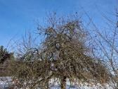 Kaminų,krosnių,latakų valymas,kaminų įdėklai - nuotraukos Nr. 12