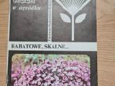 Goździki w ogrdku. Rabatowe, skalne (Lenkų k.)