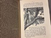 Jack London "Vor Adam" Stuttgart 1915 metai - nuotraukos Nr. 6