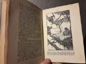Jack London "Vor Adam" Stuttgart 1915 metai - nuotraukos Nr. 8