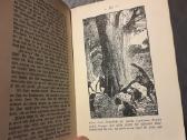 Jack London "Vor Adam" Stuttgart 1915 jahre - nuotraukos Nr. 7