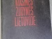 Knyga masines žudynes lietuvoje