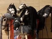 Hobby Horsing Arkliukai - nuotraukos Nr. 32